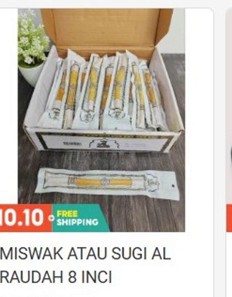 Miswak / Sugi Al Raudah 8 Inch